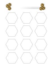 hexagon cookies.pdf