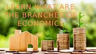 Learn What Are The Branches Of Economics.pptx